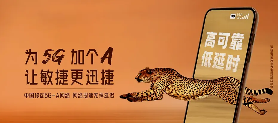 东至县东至县瓦垄乡 移动宽带